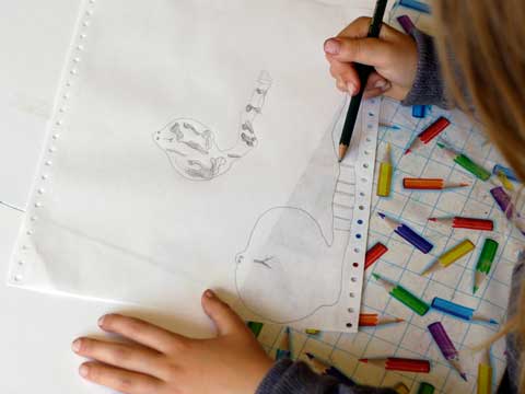 Bilder aus dem Unterricht