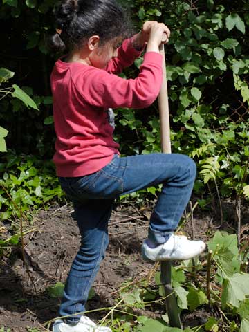 Bilder aus dem Unterricht