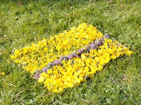 Bilder aus dem Unterricht