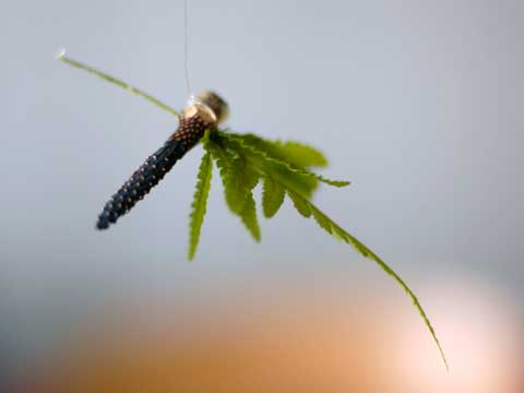 Bilder aus dem Unterricht